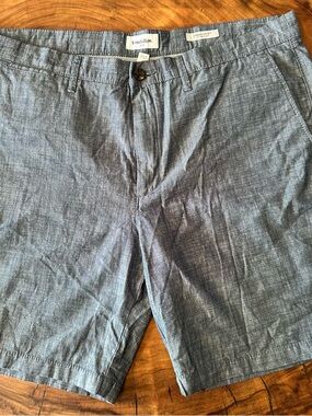 Goodfellow & Co Light Chambray Blue Flat-Front Shorts